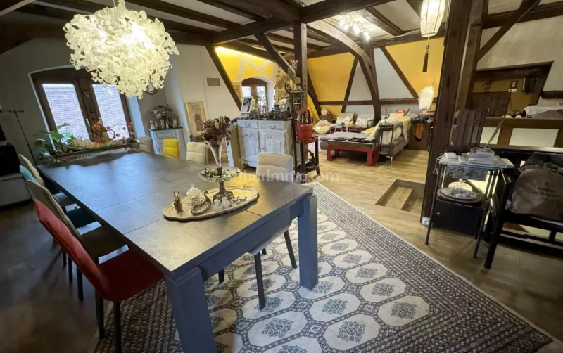 À vendre appartement duplex 399 000 € : 6 pièces de 207 au 2ème étage d'un immeuble sans ascenseur m² à Colmar