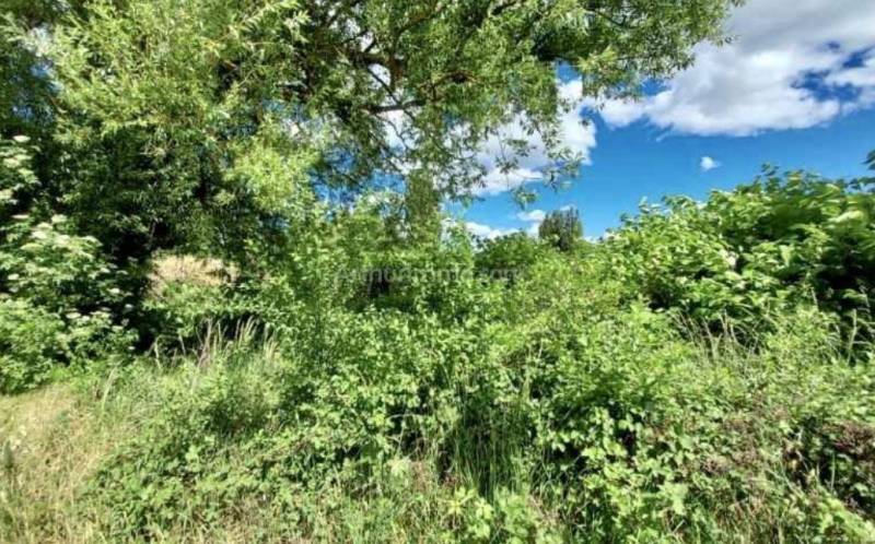 Terrain non constructible vendu à Colmar Maraîchers 68000