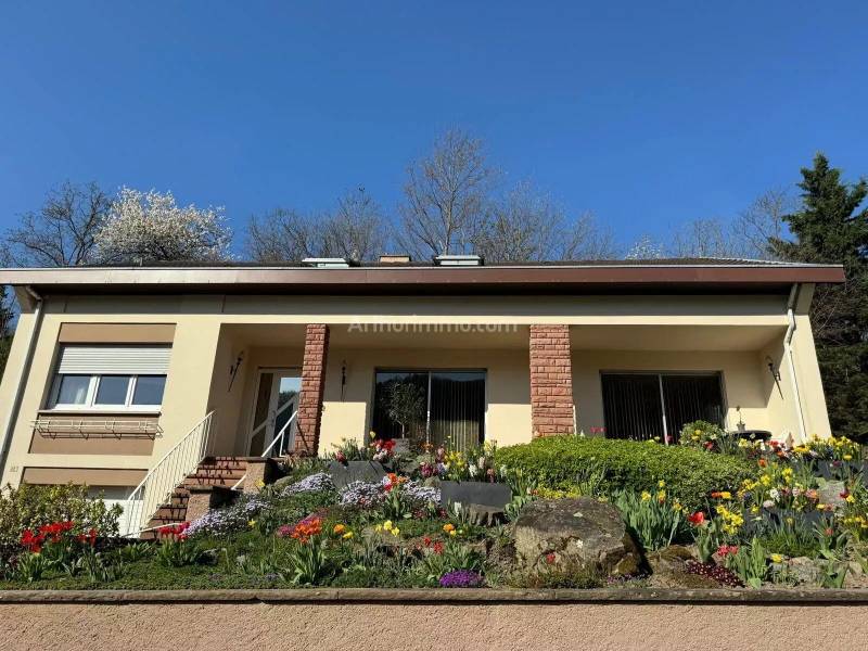 Vente maison 8 pièces 234 m² avec grand terrain divisible à Kaysersberg-Vignoble dans le vignoble alsacien