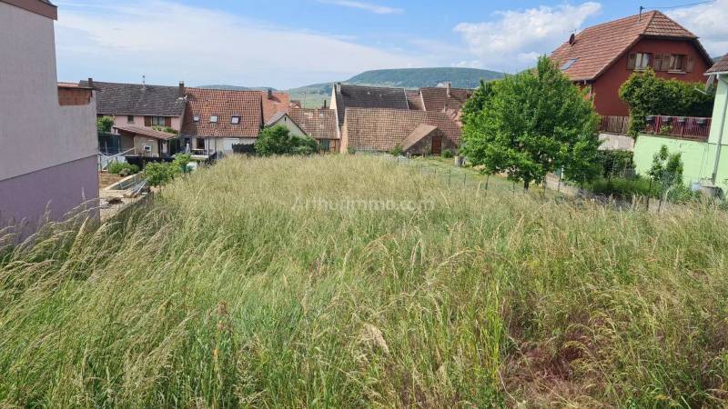 Vente terrain constructible 677 m² dans le vignoble d’Obermorschwihr à 15 min de Colmar